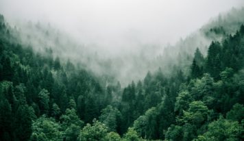 Do lesa v zlom počasí? Dôležitá je správna výbava